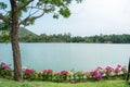 Lake view with colorful flower Royalty Free Stock Photo