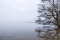 Lake view with mist and trees Royalty Free Stock Photo