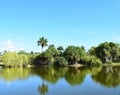 Lake view of the Park and Palm Trees Royalty Free Stock Photo