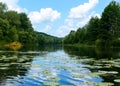 Lake View (River). On the banks of the green dense forest. Royalty Free Stock Photo