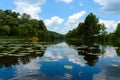 Lake View (River). On the banks of the green dense forest. Royalty Free Stock Photo