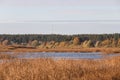 Lake view with seagrass and forest in background