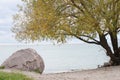 Lake view with tree and large rock, autumn day.