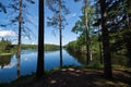 A lake view through the trees on a sunny spring day Royalty Free Stock Photo