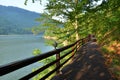 Lake view from wooden sidewalk Royalty Free Stock Photo