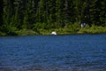 Lake in Volcanic Mountain Landscape in Mount Rainier National Park, Washington