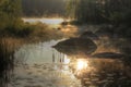 Lake Vuoksa at dawn, the Karelian isthmus, Russia