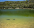 Lake Wabby on Fraser Island part of the Great Sandy National Park