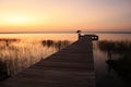Lake Waccamaw State Park, NC Royalty Free Stock Photo