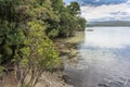 Lake Waikareiti Walk. Te Urewera National Park Royalty Free Stock Photo