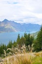 Lake Wakatipu is an inland lake finger lake in the South Island of New Zealand. It is in the southwest corner of the Otago regio Royalty Free Stock Photo