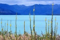 Lake Wakatipu New Zealand NZ NZL Royalty Free Stock Photo