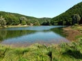 Lake Waldsee Rieden in german Eifel region, district Mayen-Koblenz