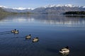 Lake Wanaka