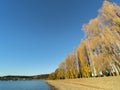 Lake Wanaka in autumn, New Zealand Royalty Free Stock Photo