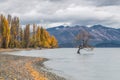 Lake wanaka, New Zealand Royalty Free Stock Photo