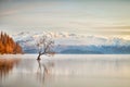 Lake Wanaka Otago New Zealand