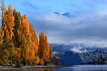 Lake Wanaka,South Island New Zealand.