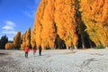 Lake Wanaka,South Island New Zealand.