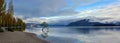 Lake Wanaka & Tree Early Morning, New Zealand Panorama Royalty Free Stock Photo