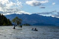 Lake Wanaka Tree at Sunset - with a canoe and 2 people in it - the Most Photographed Tree in New Zealand, Wanaka Royalty Free Stock Photo