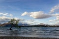 Lake Wanaka Tree at Sunset - the Most Photographed Tree in New Zealand, Wanaka Royalty Free Stock Photo