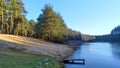 The lake was covered with ice in the first winter frost. The grassy shore turns into a sandy beach with a wooden pier. A pine fore Royalty Free Stock Photo