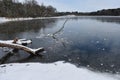 Tree laying in a frozen lake Royalty Free Stock Photo