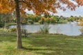 Autumn Lake Shoreline Colors 8 Royalty Free Stock Photo