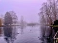 A lake and water birds in fog just before sunrise