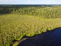 Lake water and green forest trees, aerial view. Summer landscape, beautiful nature, sunny day Royalty Free Stock Photo
