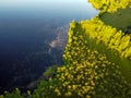 Lake water and green forest trees, aerial view. Summer landscape, beautiful nature, sunny day Royalty Free Stock Photo