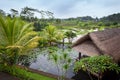 Lake with water lilies and a hut with a thatched roof Royalty Free Stock Photo