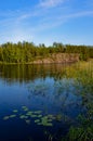 A lake with water lilies and reeds on summer day under a clear sky, a rocky shore covered with green forest. The concept of a Royalty Free Stock Photo