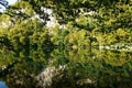 Lake water reflexing rocks and trees. Symmetrical landscape