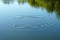 Lake water surface with circular ripples Royalty Free Stock Photo