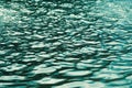 Lake water surface, ripple pattern as natural background Royalty Free Stock Photo