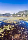 Harriman State Park, New York State lake Royalty Free Stock Photo