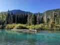 Lake in Whistler British Columbia Royalty Free Stock Photo