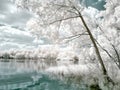 Lake White. Infrared photography Royalty Free Stock Photo