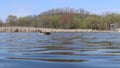 Lake in the wild nature. Bluewater and spring landscape