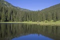 Lake Wildsee in the Ester mountains