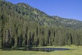 Lake Wildsee in the Ester mountains