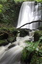 Lake Wilkie Matai Falls Waterfall