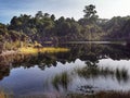 Lake Wilkie reflections. Catlins Coastal area of the South Island of New Zealand