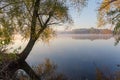 Lake with willows on shore, fog over water during sunrise Royalty Free Stock Photo