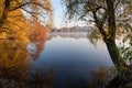 Lake with willows on shore during sunrise at autumn Royalty Free Stock Photo
