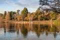 Lake in Windsor Great Park in late autumn sun