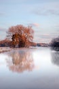 Lake in winter