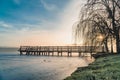 Lake in winter early morning with winter fogs in Zebrzydowice, Silesia, Poland with palace park, pier and frozen swimming pool. Royalty Free Stock Photo